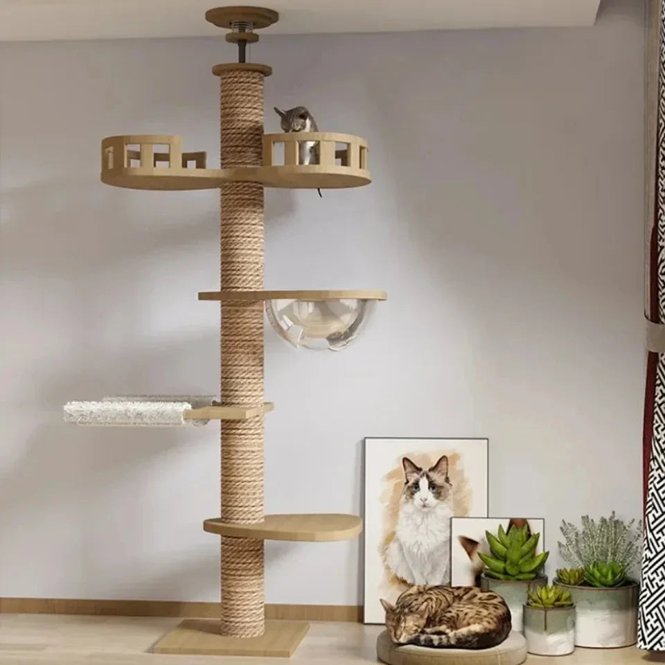Cat Tree 5-Tier Floor to Ceiling Cat Tower Cactus Tall Climbing Tree with Scratching Post Hammock Dangling Ball for Indoor Cats